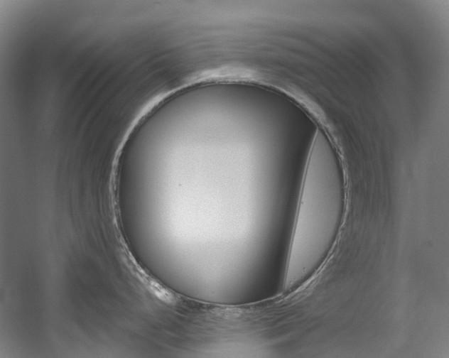 X0000058811248200509300932