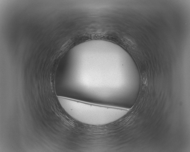 X0000058811252200509300931