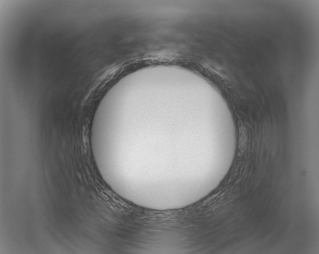 X0000058811254200509300931