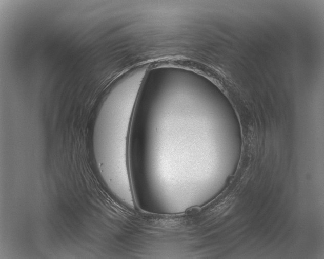 X0000058811257200509300931