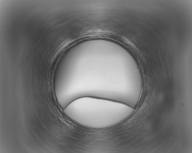 X0000058811259200509300931