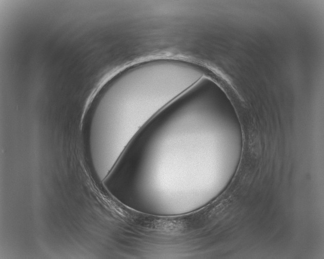 X0000058811270200509300931