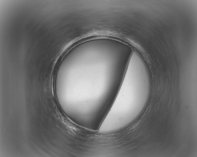 X0000058811272200509300931