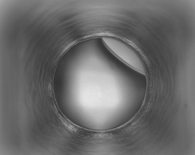 X0000058811281200509300931