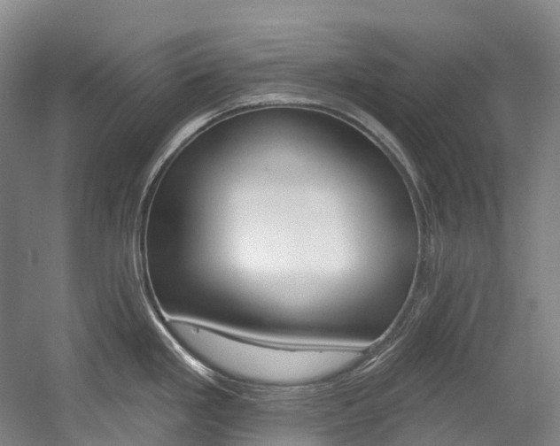 X0000058811293200509300930