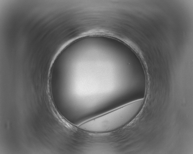 X0000058811296200509300930