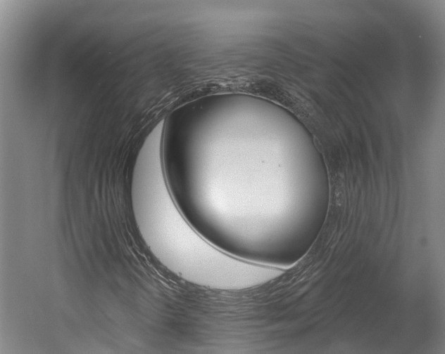 X0000058811298200509300929
