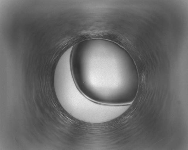 X0000058811300200509300929