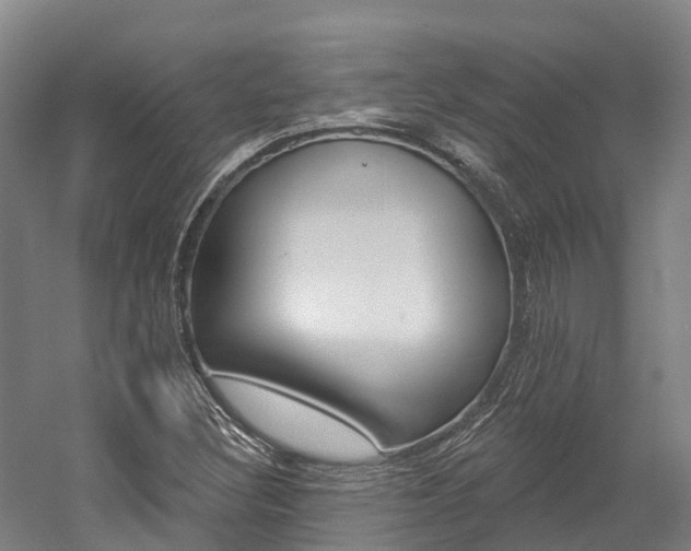 X0000058811308200509300930