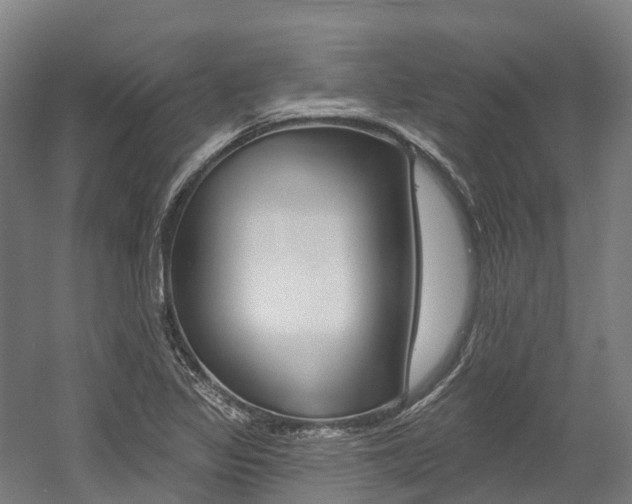 X0000058811317200509300930