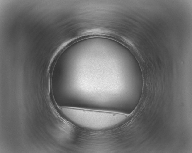 X0000058811323200509300930