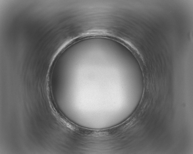 X0000058811325200509300930