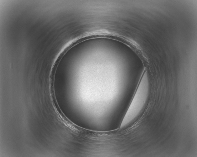 X0000058811326200509300930