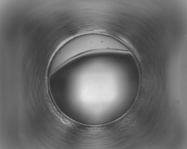 X0000058811332200509300930