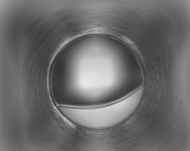 X0000058811334200509300930