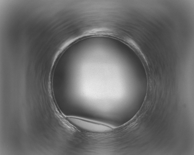 X0000058811336200509300930