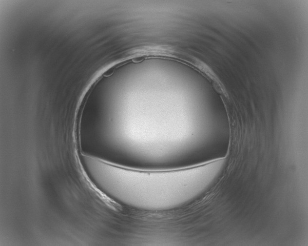 X0000058811339200509300930