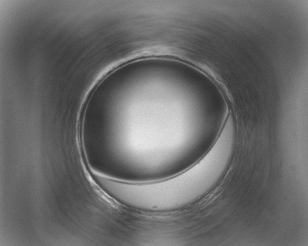 X0000058811342200509300930