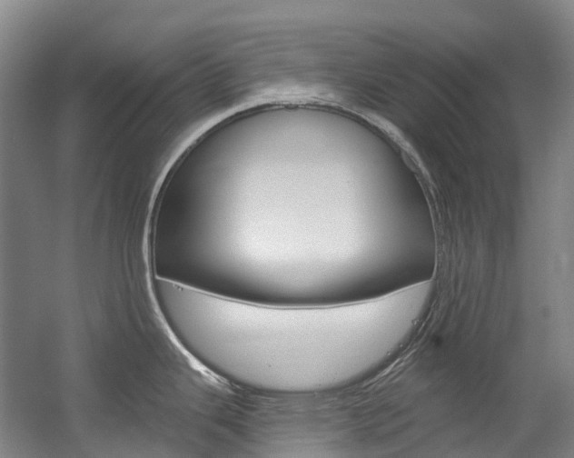X0000058811343200509300930
