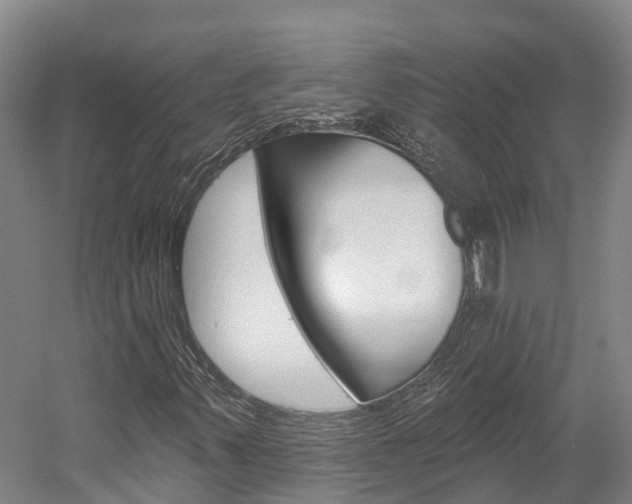 X0000058811347200509300929