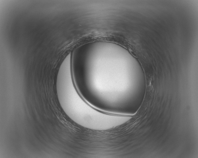 X0000058811348200509300929