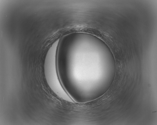 X0000058811349200509300929