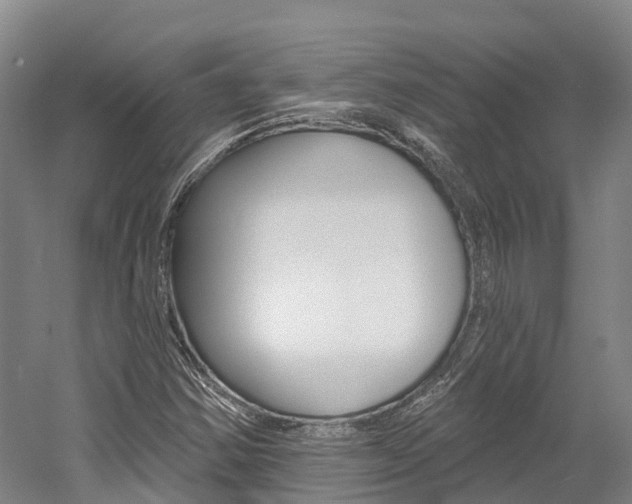 X0000058811354200509300929