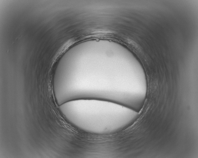 X0000058811362200509300929