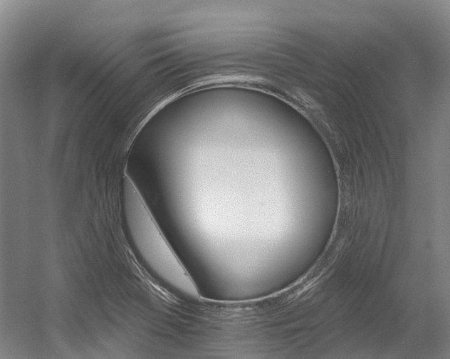 X0000058811369200509300929