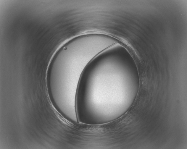 X0000058811372200509300929