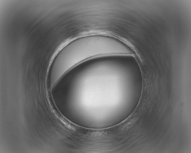 X0000058811373200509300929