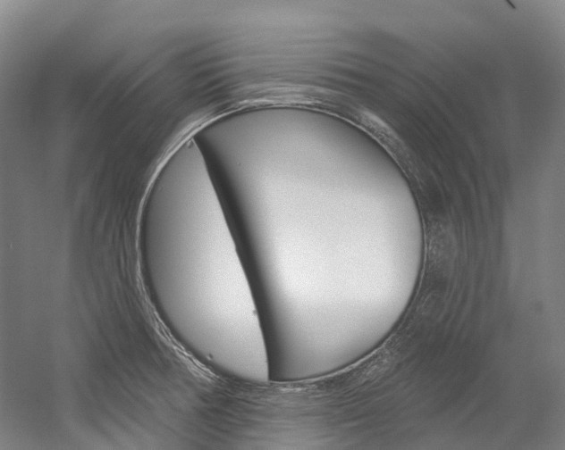 X0000058811378200509300929