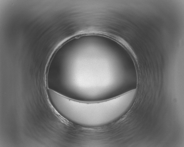 X0000058811388200509300929