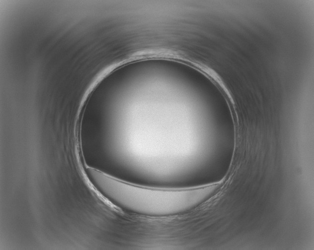 X0000058811389200509300929