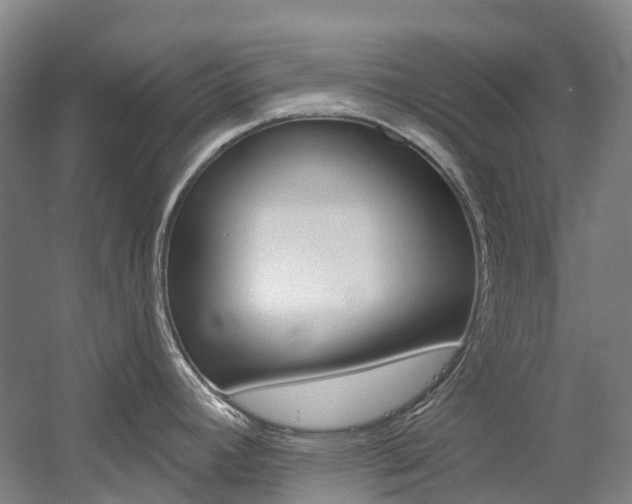 X0000058811392200509300929