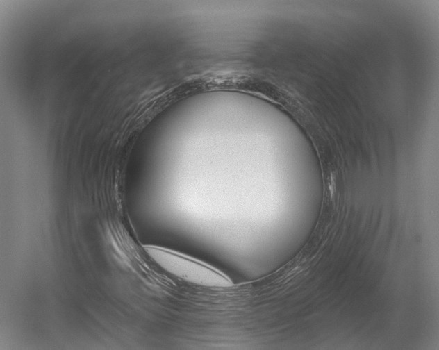 X0000058811396200509300928