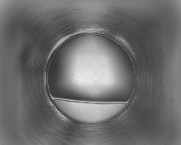 X0000058811420200509300928