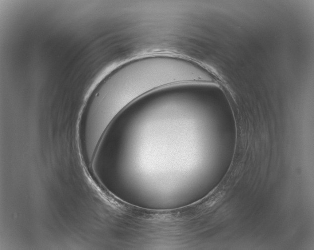 X0000058811422200509300928