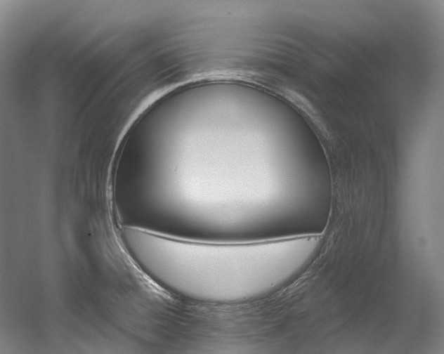 X0000058811428200509300928