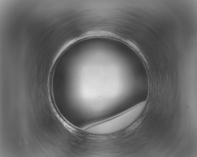 X0000058811438200509300929