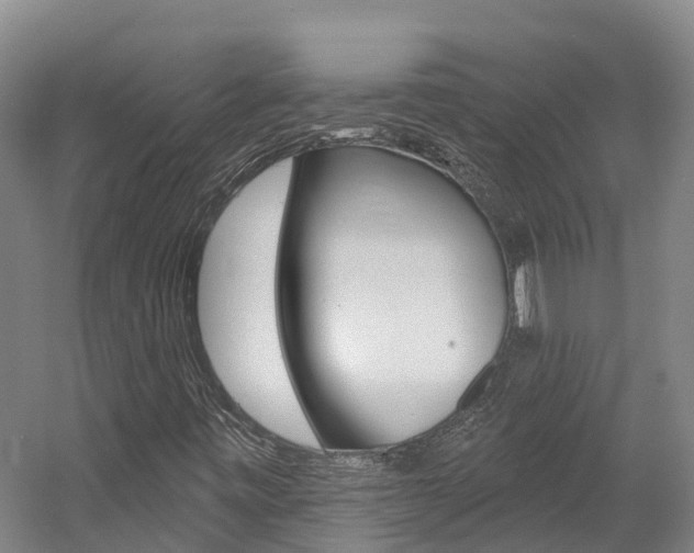X0000058811443200509300928