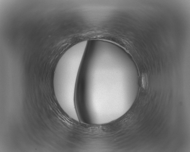X0000058811444200509300928