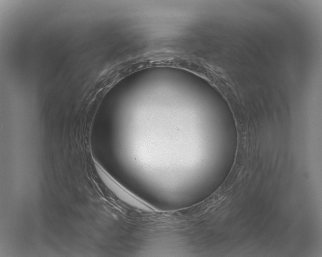 X0000058811445200509300928