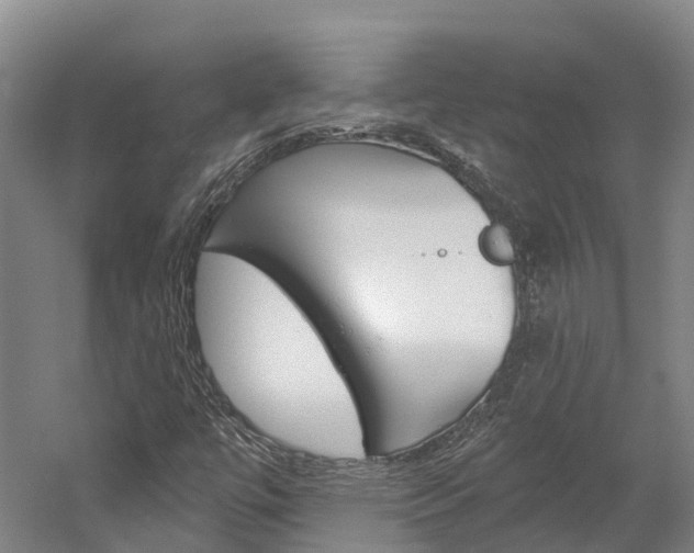 X0000058811447200509300928