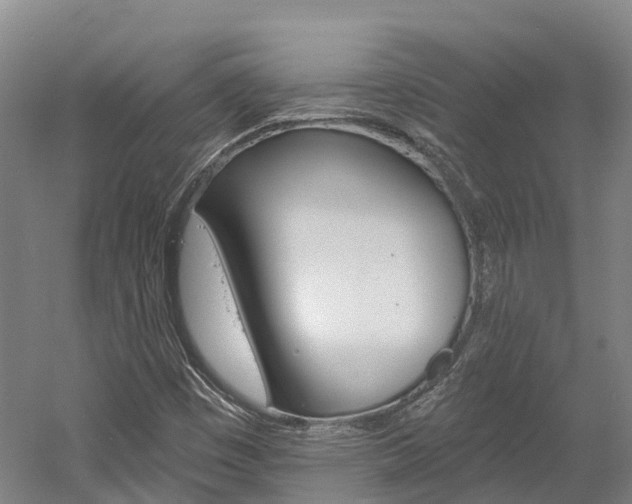 X0000058811449200509300928