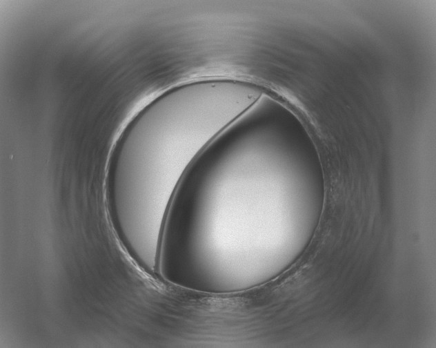 X0000058811469200509300927