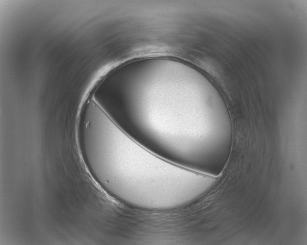 X0000058811472200509300927