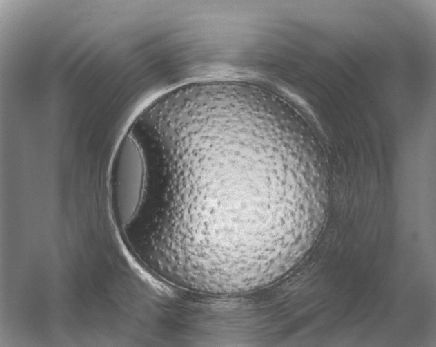 X0000058811479200509300927
