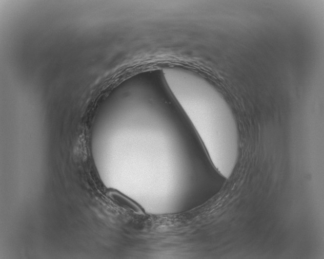 X0000058811493200509300926