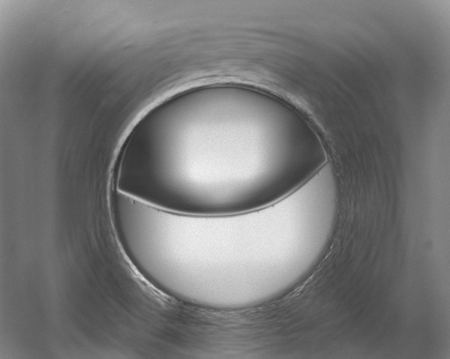 X0000058811516200509300927